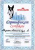 sertifikat-veterinara6.jpg